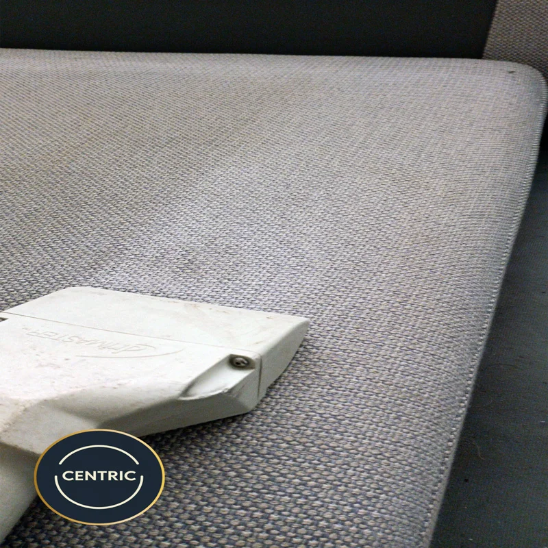 Couch Clean Auckland